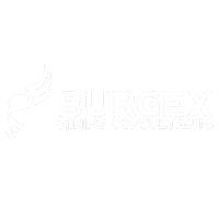 burgex-200x200